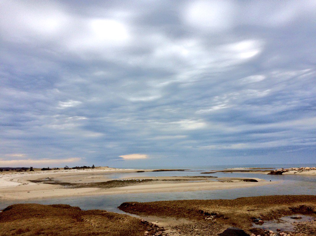 capecast's tweet image. Dreamy landscape at paines creek, brewster! #capecod @capecod_online @capecodtimes