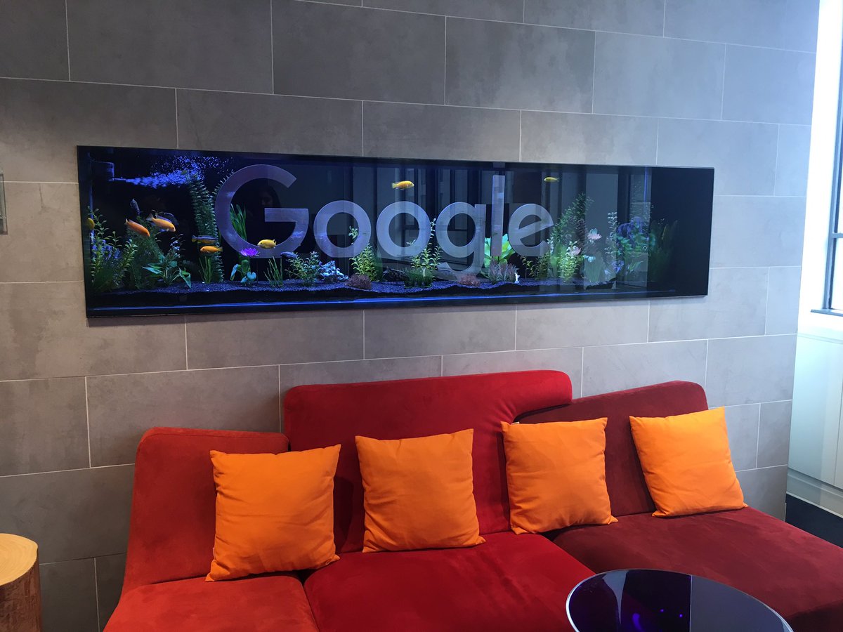 OLMC_SHSM's tweet photo. today's visit to google and our presentations https://t.co/1gUFzZyv5O