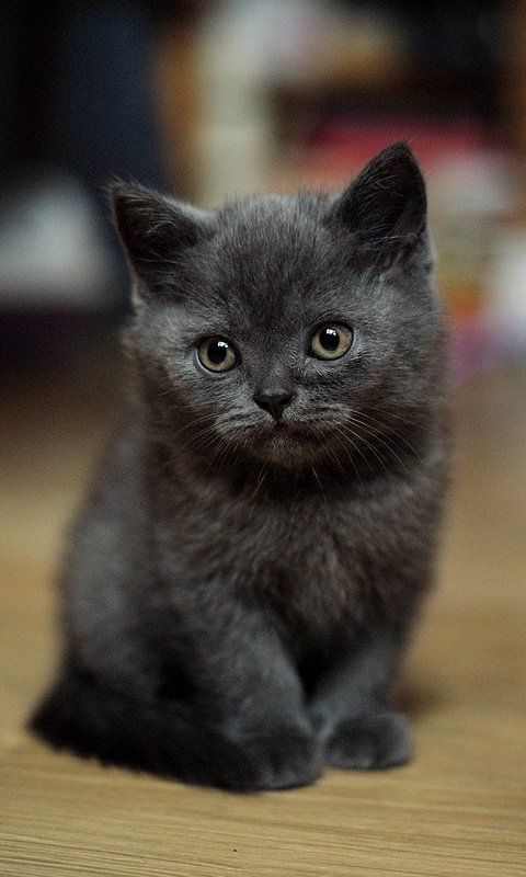 <a href="/thykenan/">yıldız beş</a> <a href="/AfterEight13/">⭐Absolutely⭐</a> <a href="/nomanliaqat66/">Noman Liaqat</a> <a href="/happy2013guy/">Colin</a> <a href="/c6PaDLYB6hDYuvG/">Juma Asadi.</a> @georg_alex_1 @Jana3990 @Lauramistweets <a href="/ginestarros/">SuperGina♥️💚♥️</a>