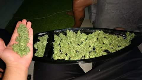 A barca que nos quer!! 🍁