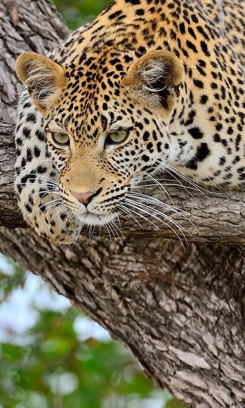 <a href="/italianostyle2/">Frankie D....TEAMSTALLION</a> <a href="/Robertperrette/">Bobby</a> <a href="/mike_hblmal04/">#Mike</a> <a href="/La7li/">🌺@la7li🌺</a> <a href="/DilrubaLees/">dilruba_lees</a> <a href="/PaulTwigg4/">Paul</a> @mfarca <a href="/Hunt3rD3mon/">*SKINT*EASTWOOD*</a> <a href="/2020sahara/">Tm_Maya Ⓜ️ #EasyGain 🌊</a> <a href="/Dutch2Haze/">✨❤๔ยtςђ◈ђคzє ❤✨</a> #TEAMSTALLION