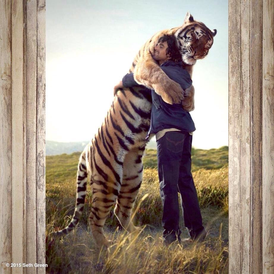 hearingdouble's tweet image. What's newpussycat