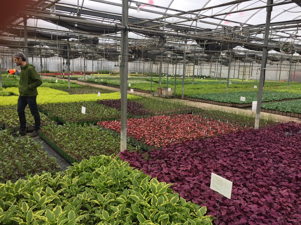 vfa_landscape's tweet photo. VFA had a great tour of Sheridan Nurseries this morning.  Thanks Rob! https://t.co/4iByH4qGPf
