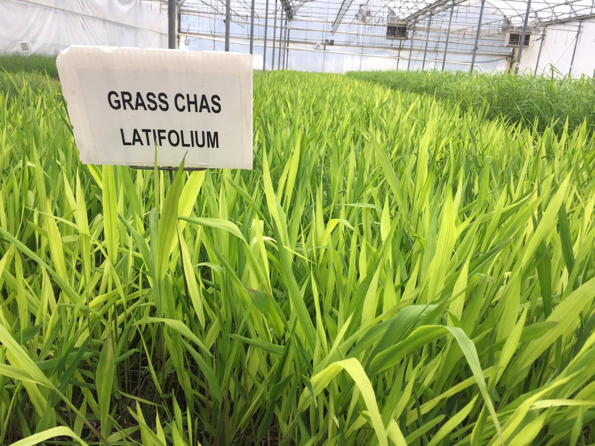 vfa_landscape's tweet photo. VFA had a great tour of Sheridan Nurseries this morning.  Thanks Rob! https://t.co/4iByH4qGPf