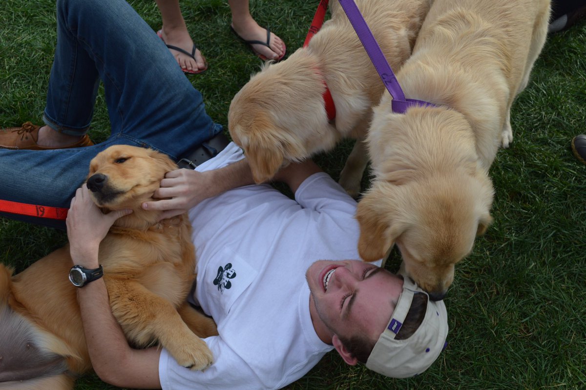 JMU TKE tweet media