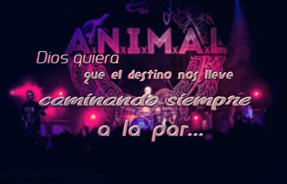 suciomonkey's tweet photo. #FrasesRock #frases #BuenMiercoles #MiercolesDeGanarSeguidores #HEAVYMETAL https://t.co/bfMddTngru