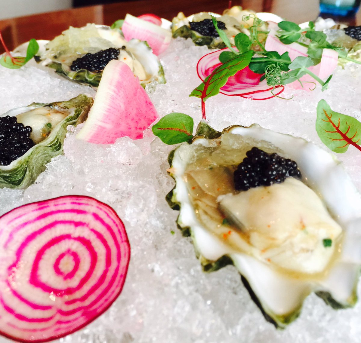 mtrabocchi's tweet photo. When @fioladc for lunch #mariamenu is the way to go.. thank you @Edscarpone @ChadGelso ALWAYS AMAZING https://t.co/oIGOG0X3GE