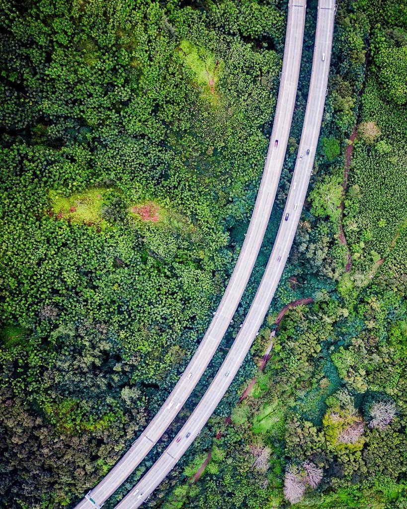 zero44zero's tweet photo. jurassic freeway.
#kaneohe #oahu #hawaii #h3 #haikuvalley
#luckywelivehawaii #hilife #lethawaiihappen 
#fromwherei… https://t.co/Pl7hKRRyhG https://t.co/nA5ogu181B