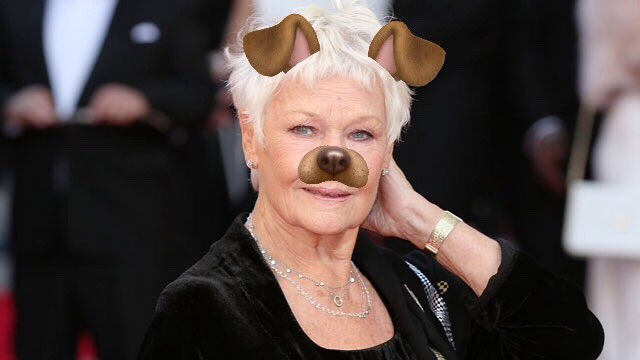 Judi Dench tweet media