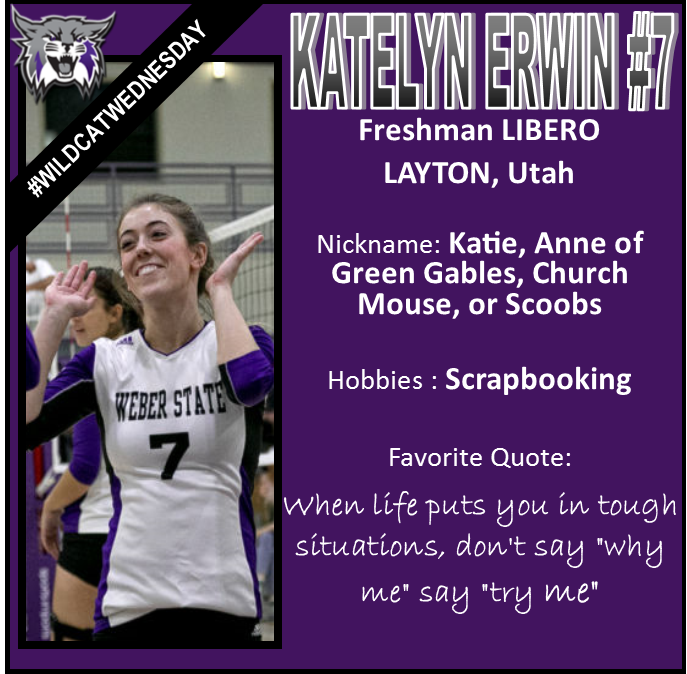 weberstatevb's tweet photo. #WildcatWednesday https://t.co/xIiN3uYmGx