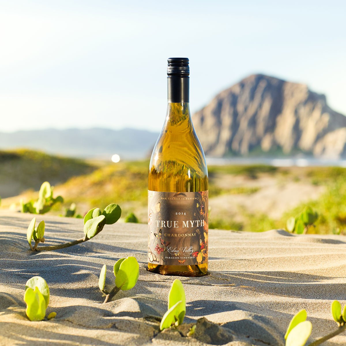 With views like this right in our backyard, we consider every weekend a staycation