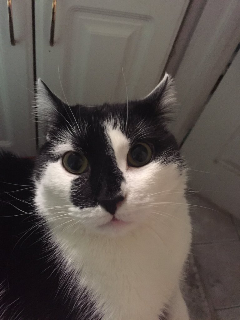 Sir James tweet media