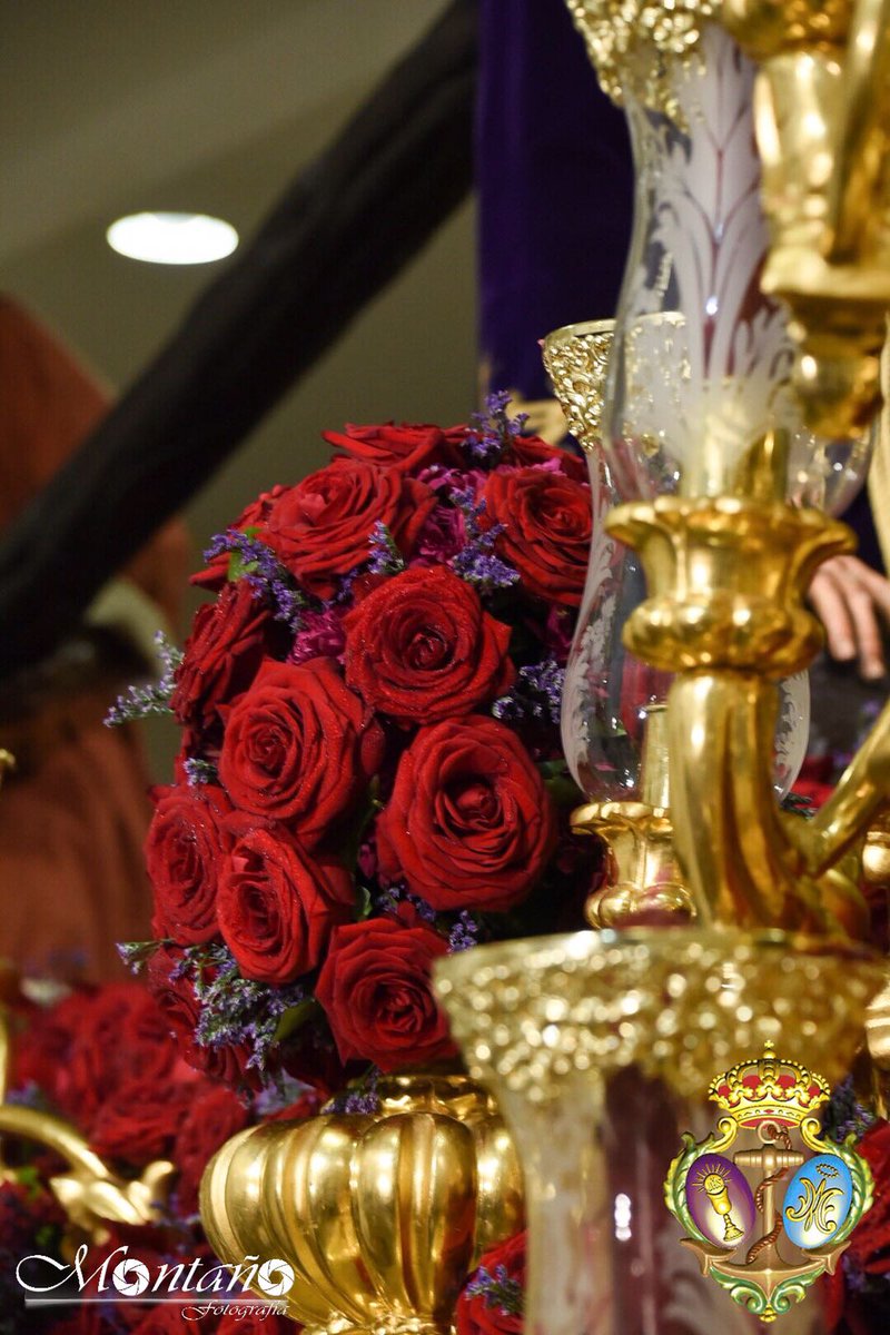 EspDeTriana's tweet image. El exorno floral del paso del Stmo. Cristo está compuesto por:
Rosa red Naomi, Lumínica, Crisantemo, Hedera, Tuya, Eryingium.