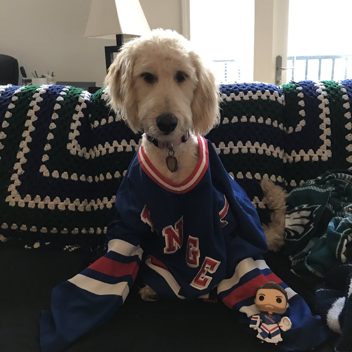 THATJoshKail's tweet photo. Pheebs is ready for the playoffs to start. Let's Go @NYRangers!!!! #blueshirts #RangersTown #NYRuff https://t.co/w5RcnCqyyV