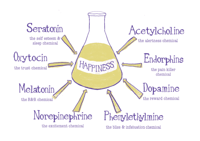 wallpapers Dopamine Vs Serotonin Vs Oxytocin happy chemicals
