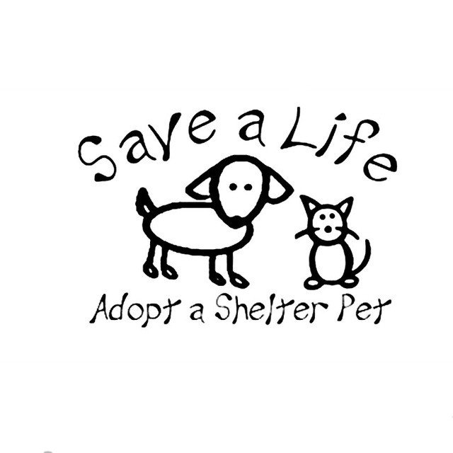 PetsComforts's tweet photo. Adopt A Pet Car Sticker!!! https://t.co/aWTiPtgrHJ #buynow #onsale #dog #puppy  #doglover #dogadoption #cat #catadoption #petadoption https://t.co/BUcMrg0ybQ