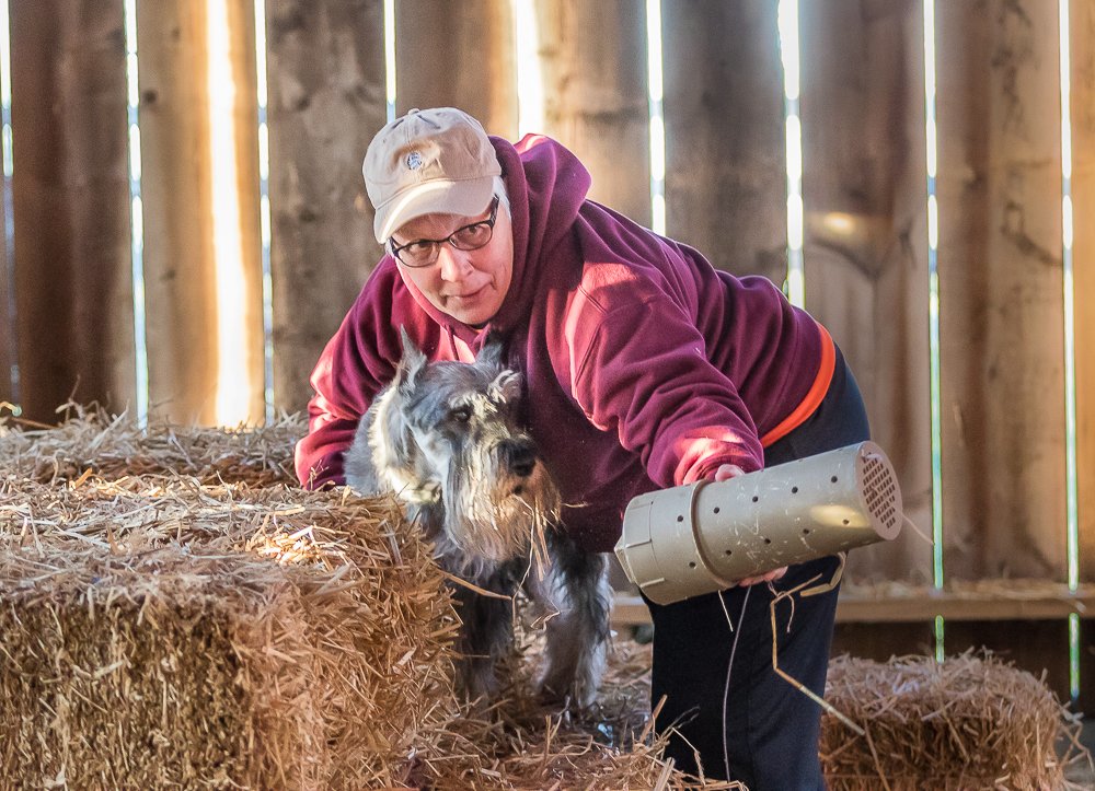 BarnHunter's tweet image. Subscribe/advertise in Barn Hunter Magazine!
#BarnHunter