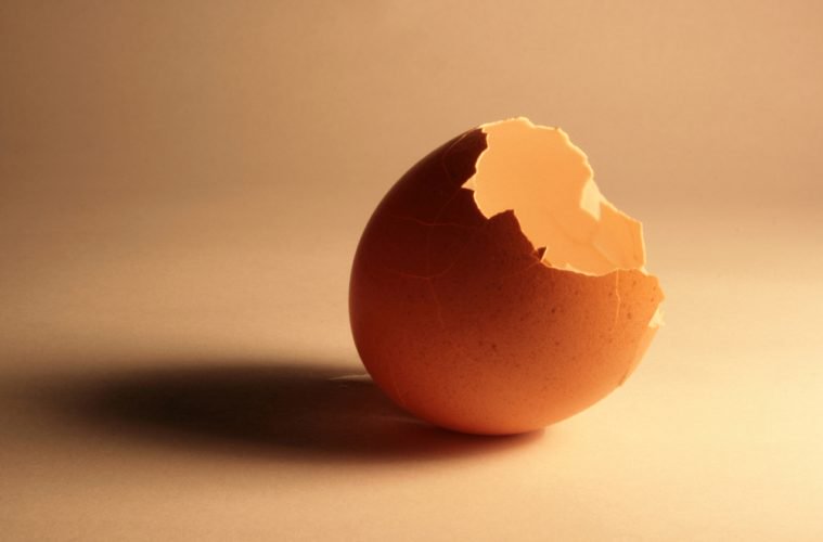 HarvardIchthus's tweet photo. The Empty Egg: "We may not be able to see the light of Christ, but the candle will be relit, for the tomb is empty."
https://t.co/fAv15FykX6 https://t.co/kVTKPF0XZt