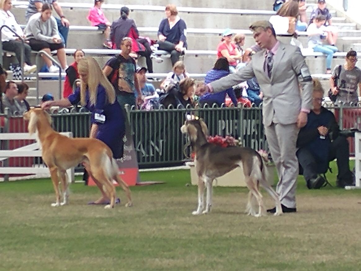 إذاعة يو اف ام tweet media