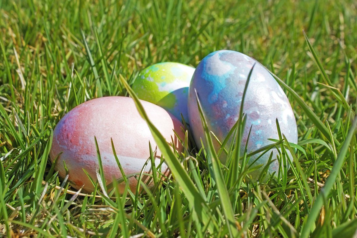 IDODI's tweet image. 5 egg-citing #STEAM activities for kids ow.ly/BFSV30aNBzc