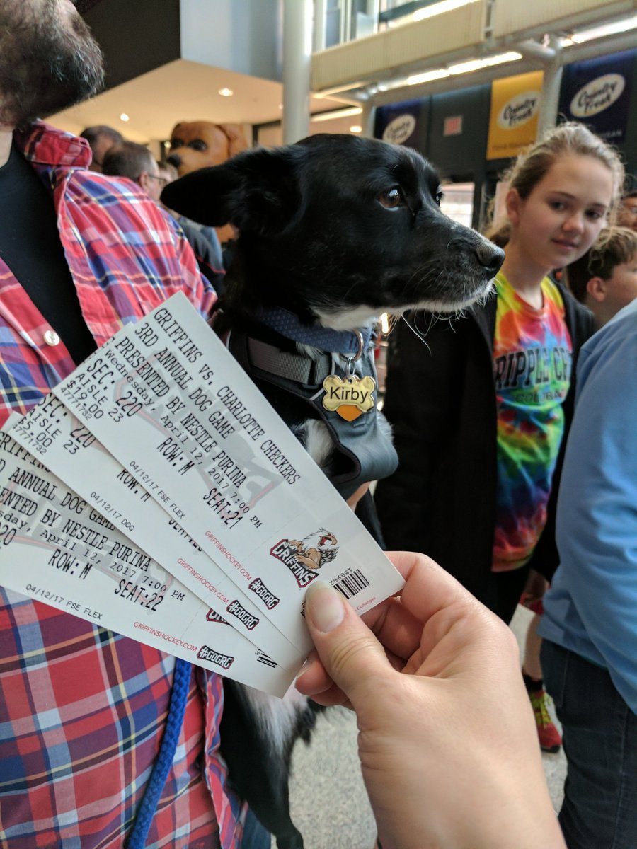katiecorker's tweet photo. Dog night! #GOGRG :) https://t.co/g6loP7yf6o
