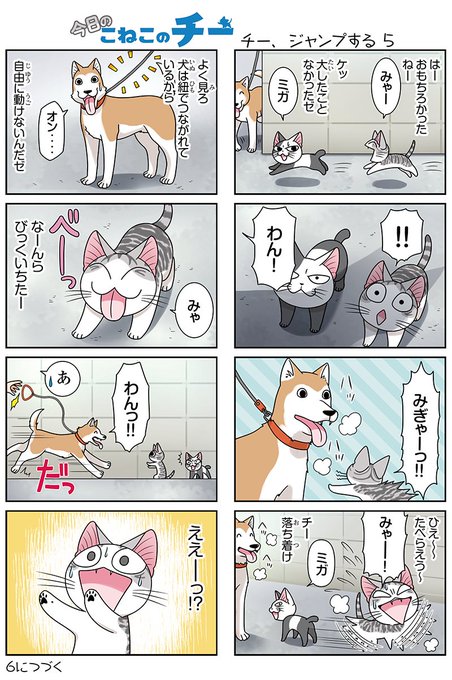 今日のこねこのチー を含むマンガ一覧 いいね順 18ページ ツイコミ 仮