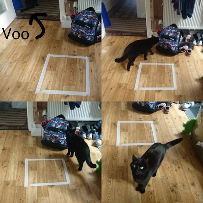 Kép megtekintése a Twitteren Kép megtekintése a Twitteren