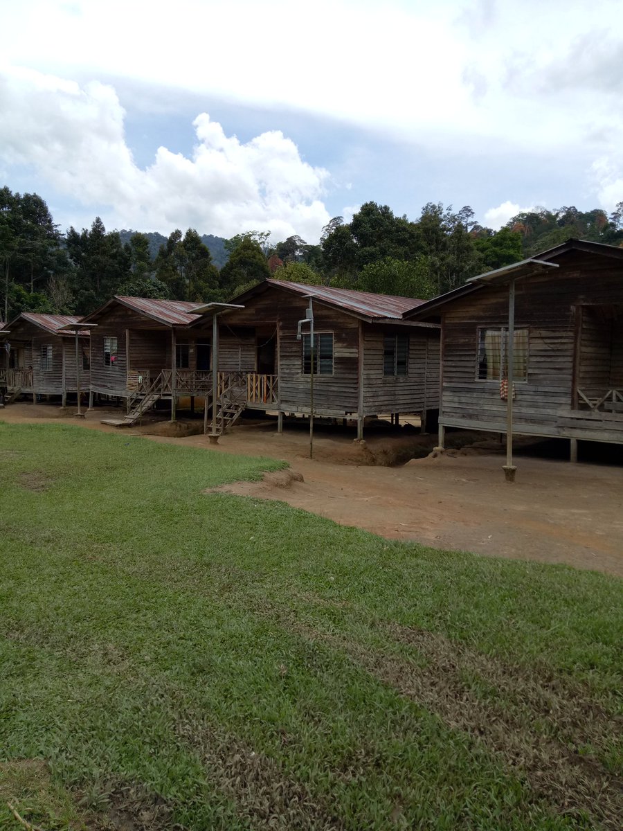 lets_nature's tweet image. Rumah orang asli at kg rening,  cameron highlands. 

#nature #upm #environmentalfieldwork