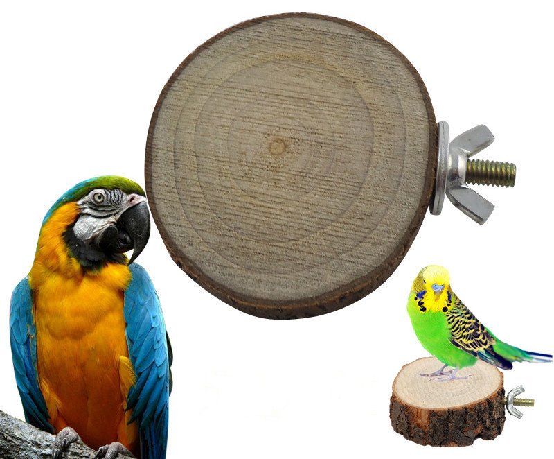 PetsComforts's tweet photo. Natural Wooden Bird Platform!! https://t.co/vxHfxWFfXb #buynow #onsale #bird #birdlover #birdlove #birdcage #smallfriends #flyhighlittlebird https://t.co/3S5Ao0z9gy