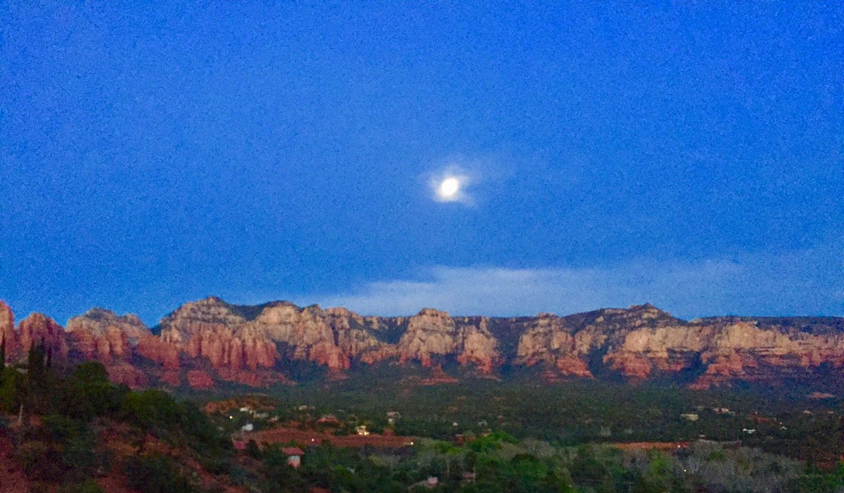 Dr Beth DuPree (drbethdupree) Twitter