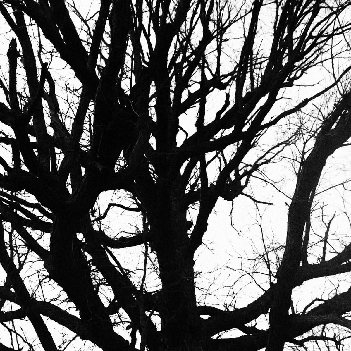 Lifeishop3less's tweet image. #NewProfilePic