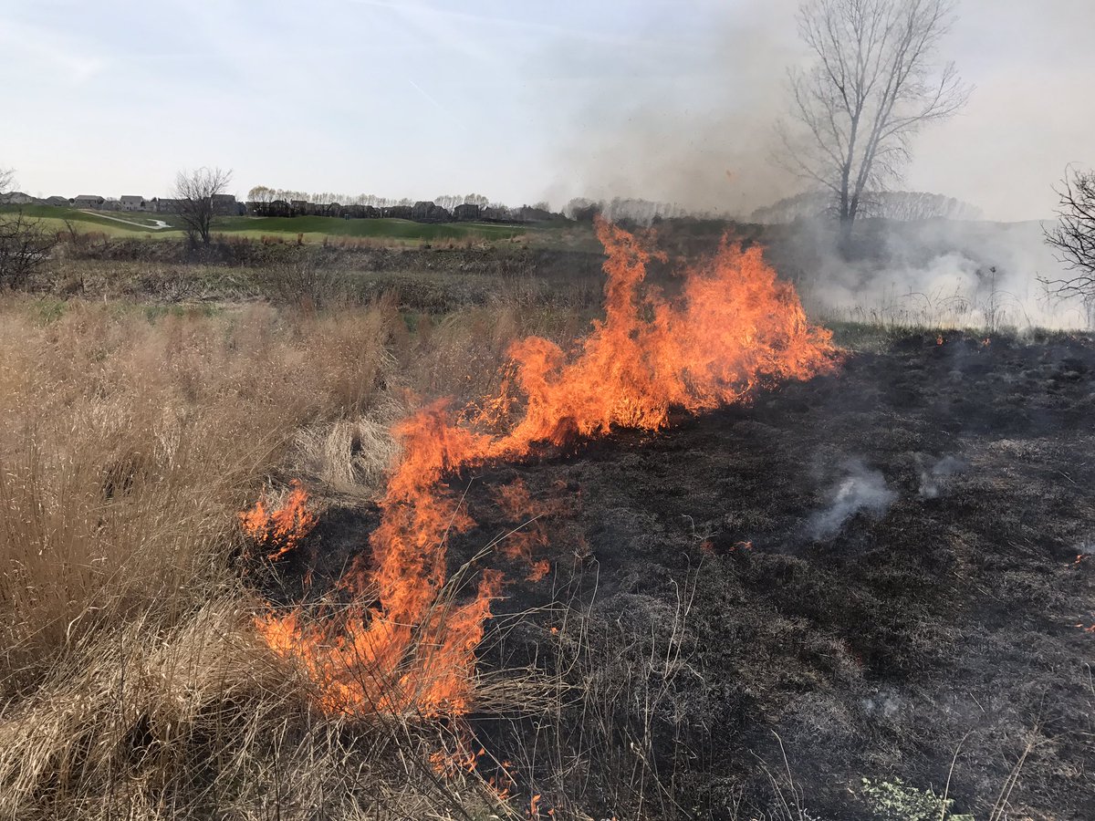One of my favorite days of the year at the course today. You can't beat a good fire. The natives burned great even being so wet.