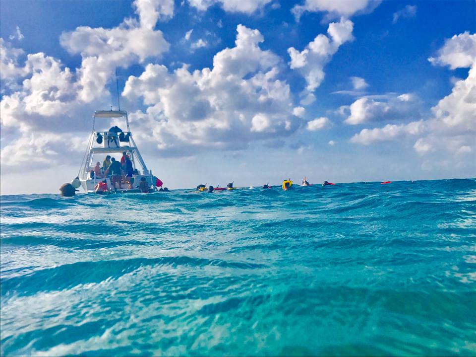 ¡Llena tus ojos de Azul #Cozumel! 🐬
Let your eyes enjoy the Blue Cozumel!
<a href="/exploreanczm/">Explorean Cozumel</a> #ExploreMore #ExploreanExperience #IslaCozumel