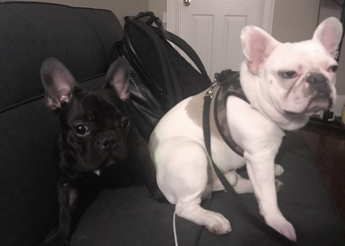 Tyler Maniac tweet media