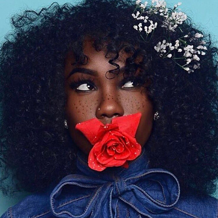 WhollyHair's tweet photo. All about flowers, freckles and fros with @shomebeautiful 🙌🏿🌹

#whollyhair #NaturalHair #curlsquad https://t.co/id1av38rxc