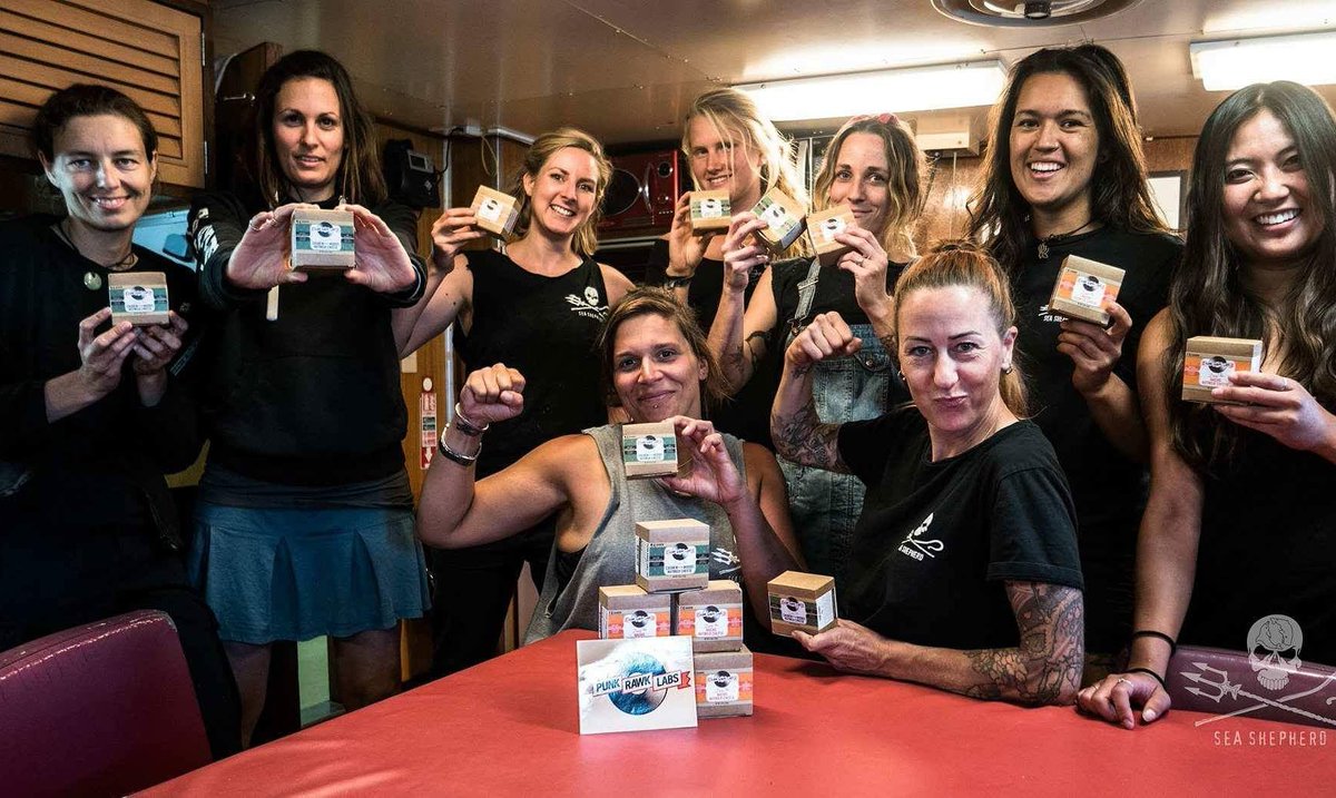 SDSSCS's tweet image. Thank you @PunkRawkLabs for your extremely generous donations to the @MVSamSimon crew while on #opmilagro @SeaShepherdSSCS #vaquita