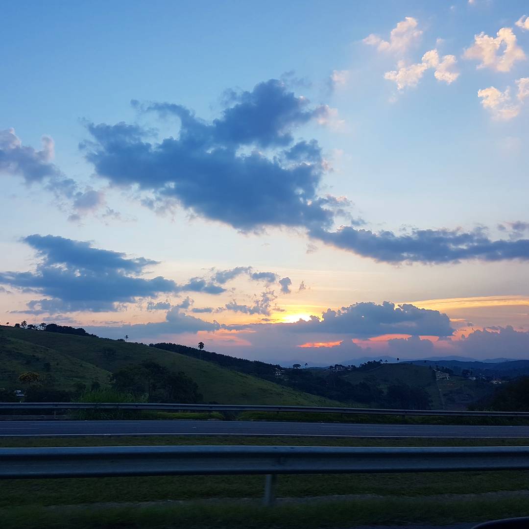 Vanessa C tweet media