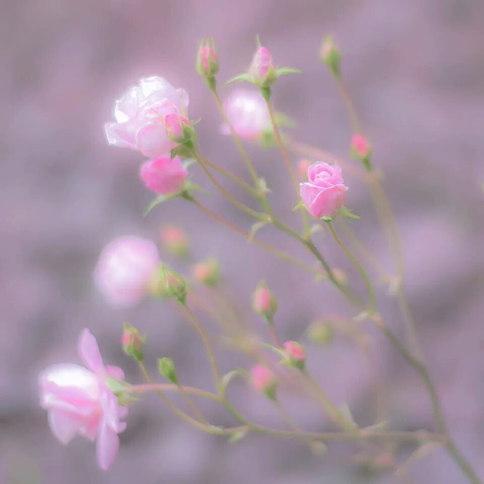 누군가를 칭찬해주면
내마음도 흐뭇해지고

누군가를 위로해주면
내마음도 따뜻해진다

누군가를 껴안아주면
내마음도 포근해지고

누군가를 도와주면
내마음도 행복해진다

누군가에게 꽃을 선물할때
내손에도 꽃 향기가베이듯

좋은일은
나에게 좋은흔적을 남겨줍니다