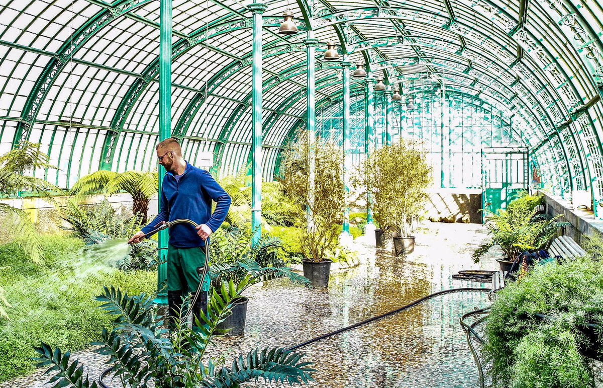 'Final touch' vóór aankomst van eerste bezoekers in Koninklijke Serres van Laken morgenavond - open tem 5 mei, zie open.monarchie.be