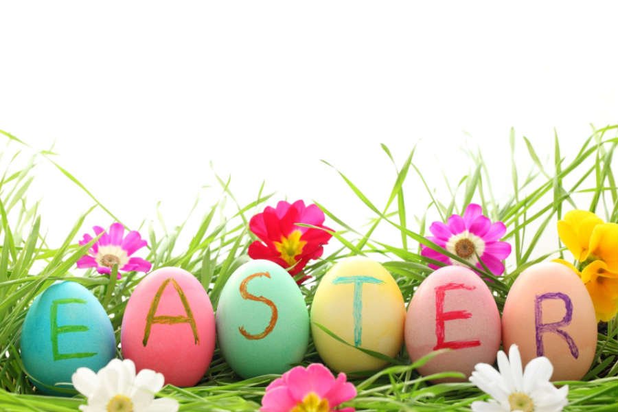 StonefairIFF's tweet photo. Hey filmmakers submit your film now for the DISCOUNTED EASTER deadline via https://t.co/FvdaZuPFUW  
Check it out: https://t.co/u1wxMlBzbP https://t.co/EA5qiKyF6Y