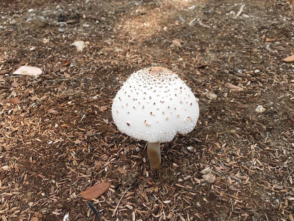 katgracesanchez's tweet photo. Nature is not on the internet
.
.
.
.
#KatsKatkat #ubec #zerothreetwo #nature https://t.co/bBCEQx7oXI https://t.co/NqM3El96ec