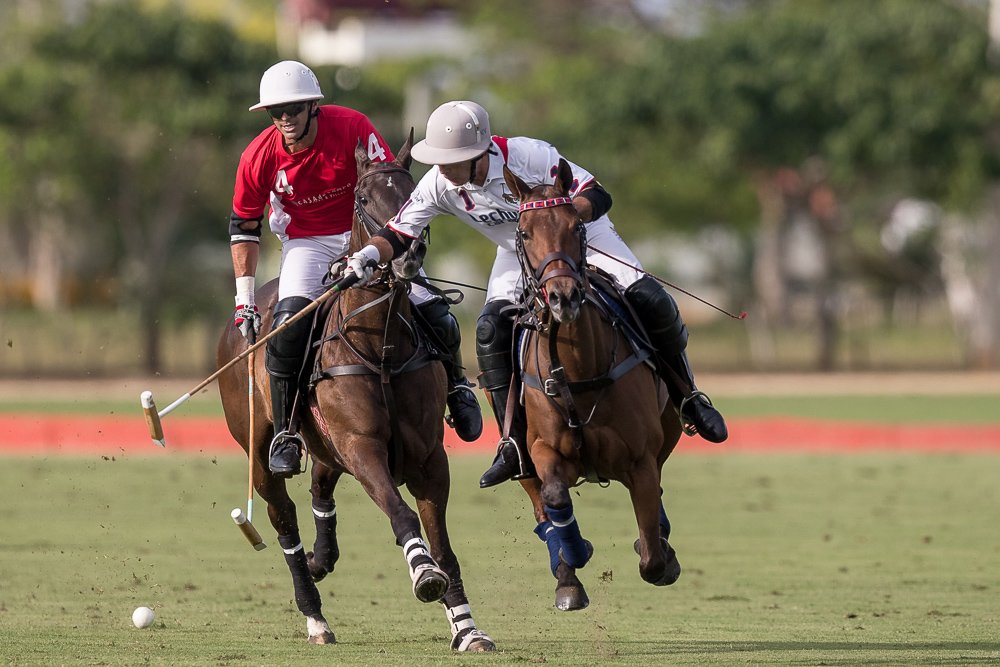 PoloLine tweet media