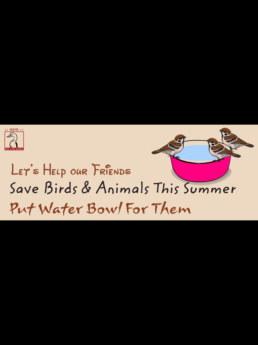 માંગૌરી ગૌશાળાટ્રસ્ટ (@maagaurigaushal) on Twitter photo 