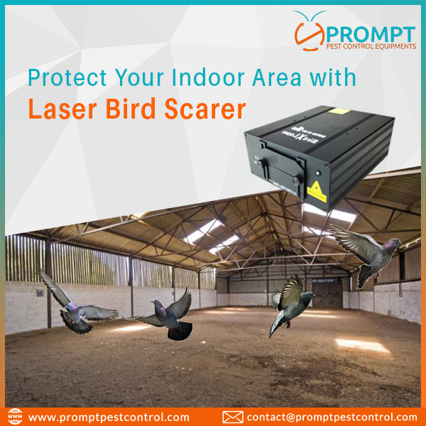 promptpestequip's tweet photo. #PromptPestControl offers the best quality #LaserBirdScarer devices to keep birds away from your indoor areas.
https://t.co/DZiSiCaO3x https://t.co/wMk3SAm7QO