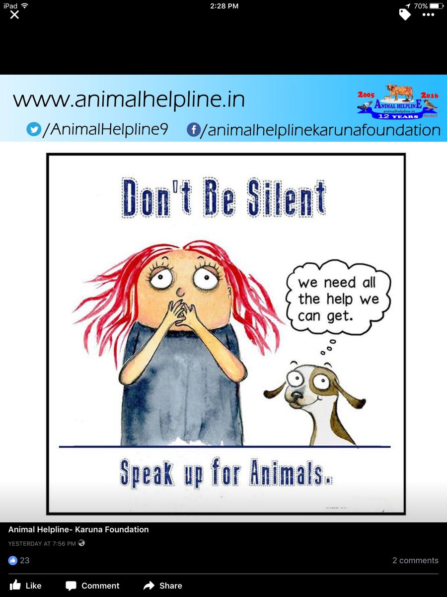 માંગૌરી ગૌશાળાટ્રસ્ટ (@maagaurigaushal) on Twitter photo 