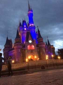 東京ディズニーランド アフター６パスポートの欠点