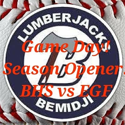 bemidjibaseball tweet picture