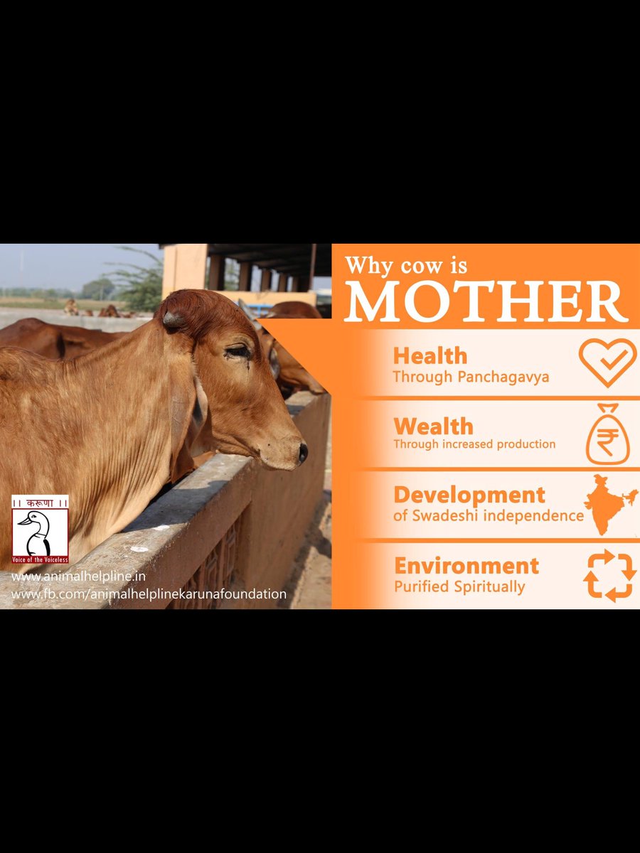 માંગૌરી ગૌશાળાટ્રસ્ટ (@maagaurigaushal) on Twitter photo 