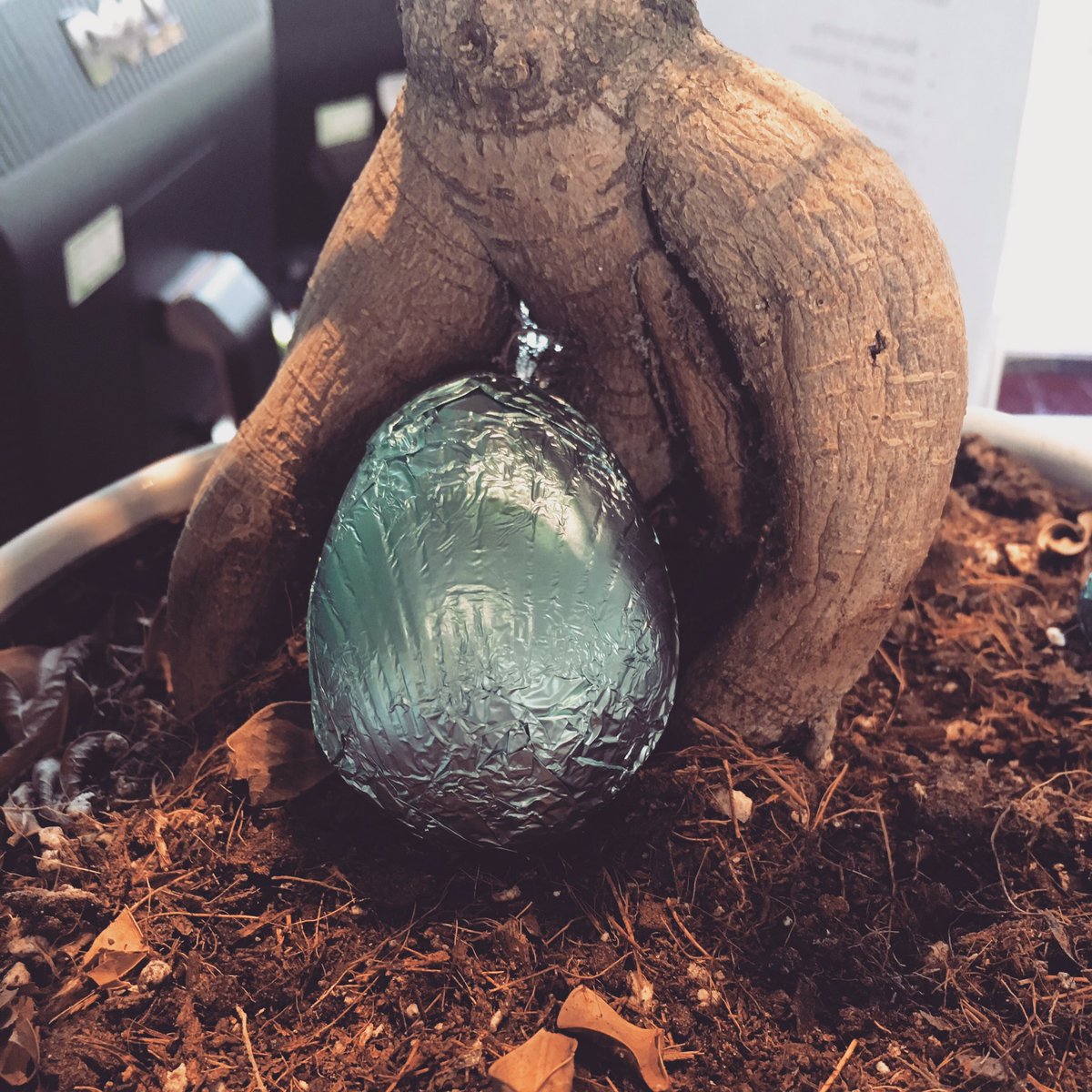 It's the last at work before the Easter weekend, which can only mean 1 thing!! #EasterEggHunt 🐇🥚🍫