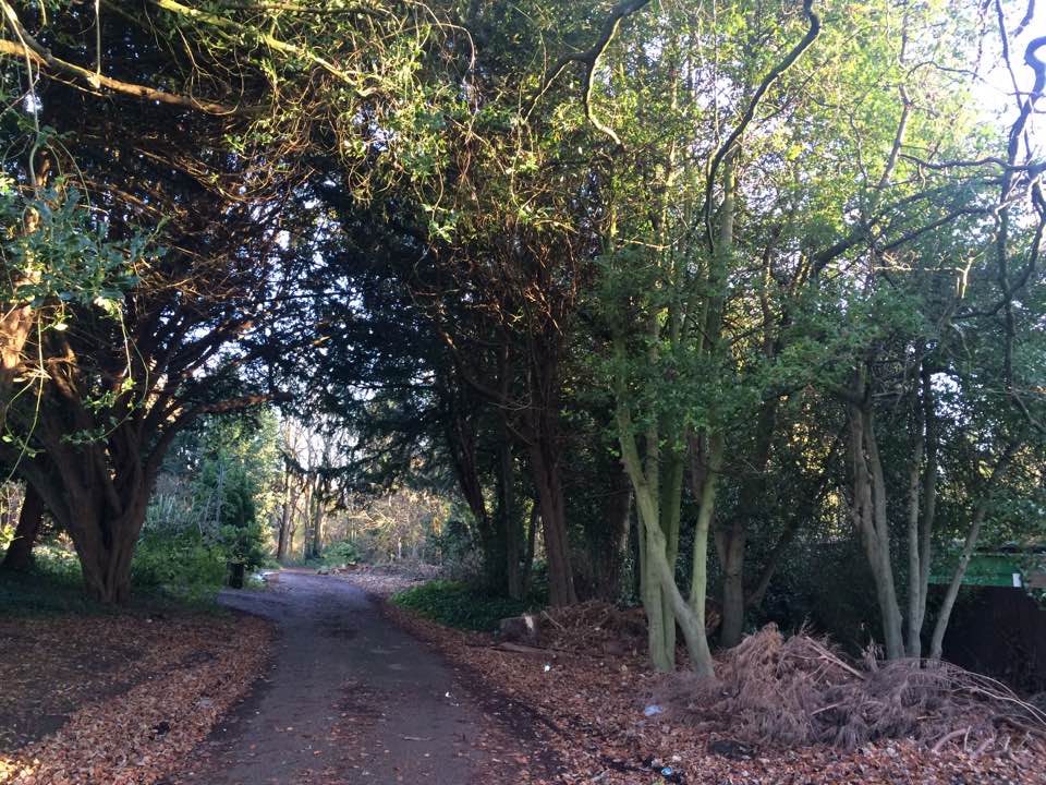 saveharthill's tweet photo. Woodland space will be decimated if Redrow are allowed to widened the road up to Beechley House including many mature trees #SayNoToRedrow https://t.co/VZs87HoRmP